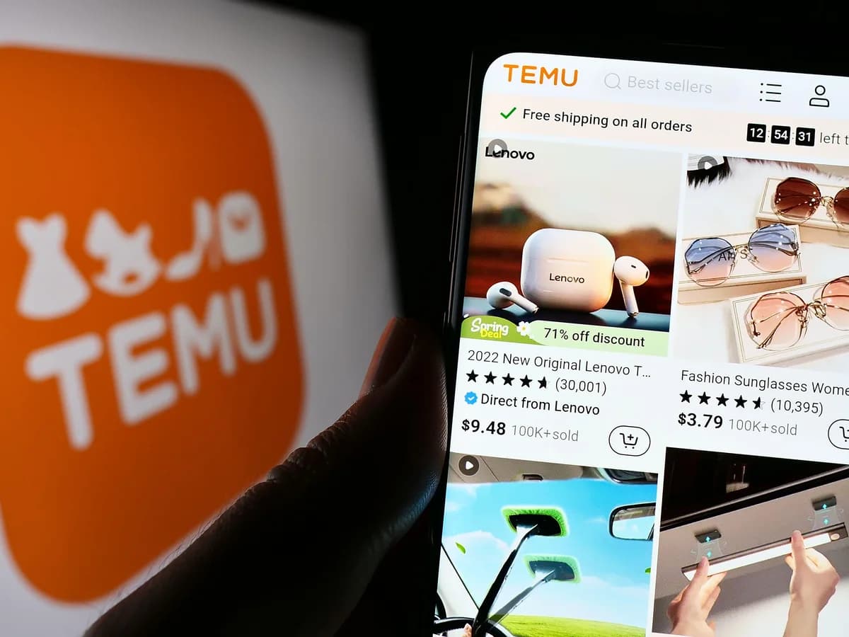 Understanding the British Temu Law