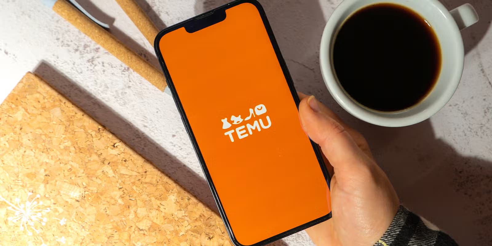 Comparing Temu to Other Platforms