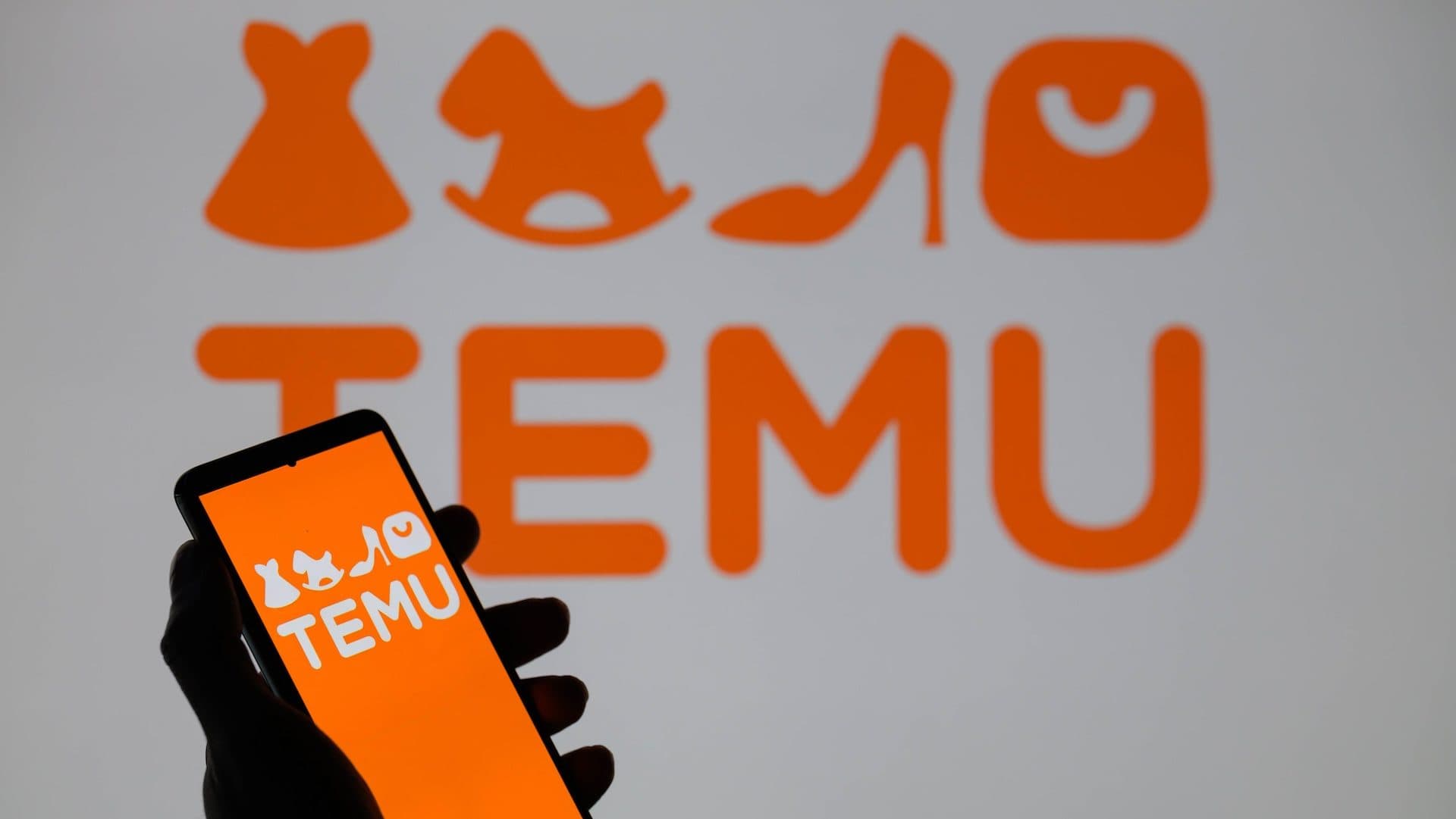 Key Services Offered by Temu Customer Support
