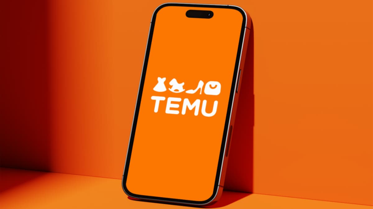 Why Personalized Temu Push Notifications Matter