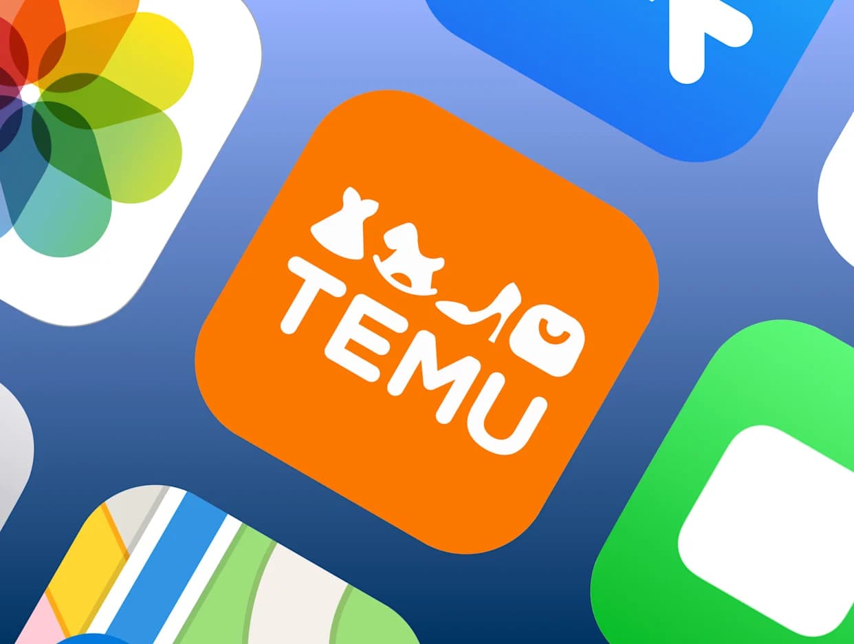 Understanding Information in Temu Order History